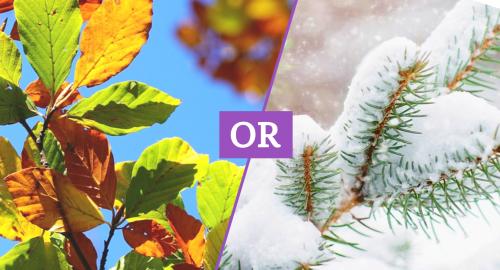 Are You Deciduous Or Evergreen Varsity