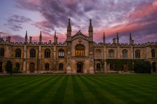 Quad Goals: The Violet Review of Cambridge College Courts | Varsity