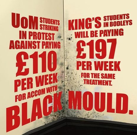 King's claims students will not be 'disadvantaged' by boycott