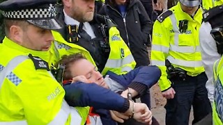 Cambridge professor arrested in Just Stop Oil protest 