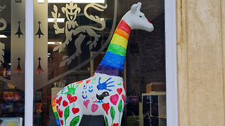 News in Brief: Pride in, giraffes out