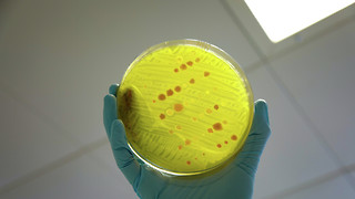 The battle against antimicrobial resistance