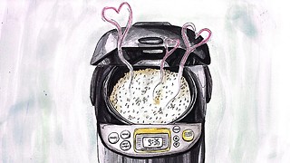 Home comforts: the rice cooker 