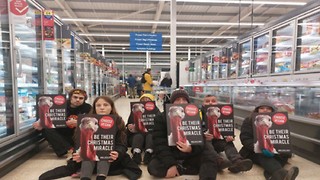 Animal rights activists stage sit-in at Tesco