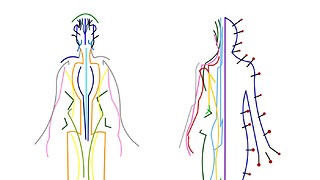 Does Chinese acupuncture have a place in modern medicine?