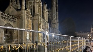 Yellow ribbons for hostage solidarity appear in Cambridge overnight 