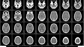 Research Roundup: Week One