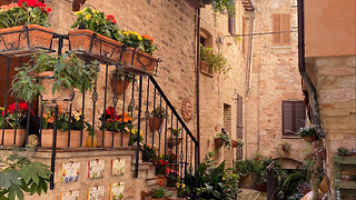 What type of summer holiday are you?