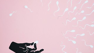 Forget horses, sperm is the new gambling opportunity