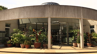 The Secret Life of Murray Edwards' Gardeners