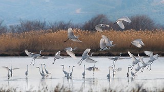 Research Roundup: Week Five