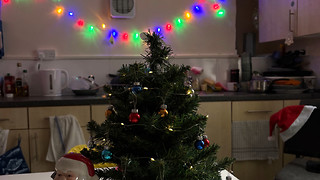 Which Christmas staple are you?