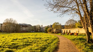 Uni Scout and Guide Club affirms trans inclusion