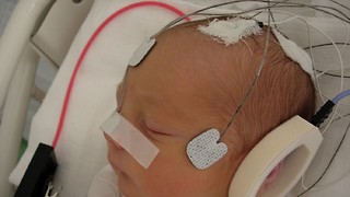 Research Roundup: Week Five