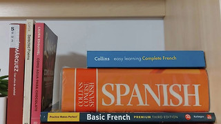 Say bonjour to bilingualism