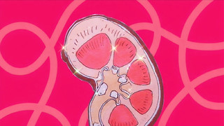 Breaking the silence about kidney disease and donation at Cambridge