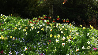 A spring in your step and songs for the new season