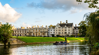 Not all is beautiful in the death of the ‘golden ticket’