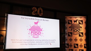 Awards season goes to the dogs