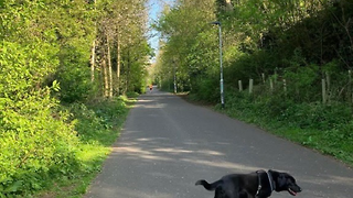 Advice on not losing your mind