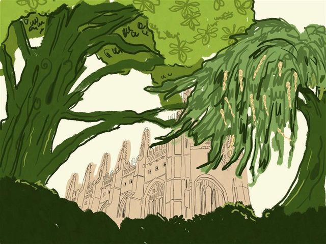 College roots: a Cambridge history in trees