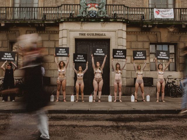 Animal rights protest held in Cambridge City Centre