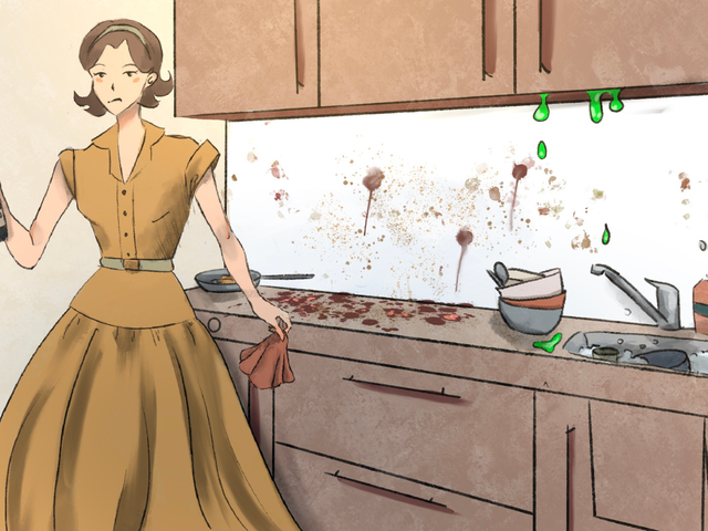 A housewife's guide to keeping your kitchen