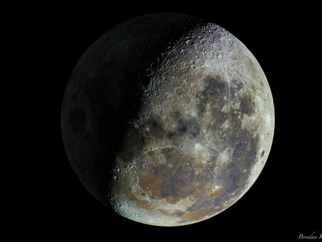 Research round-up: week eight