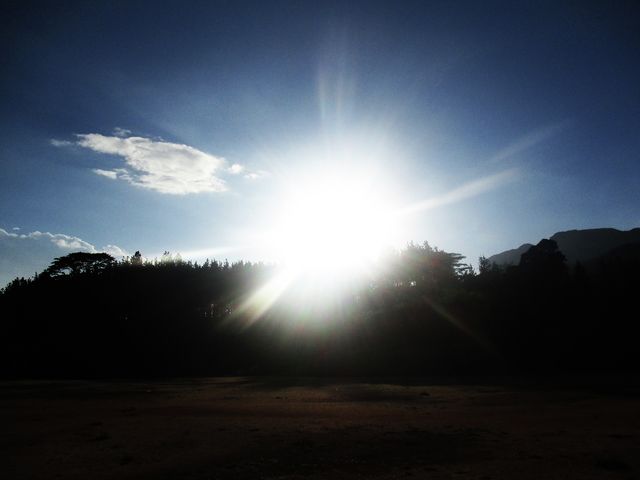 Research Round-Up: Week Seven