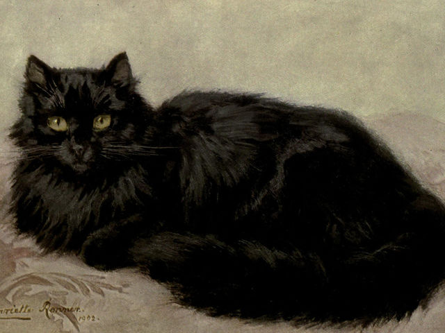 We should be more superstitious