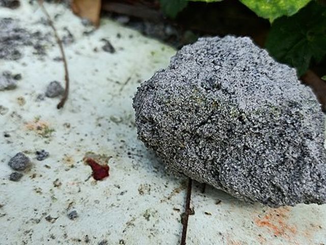 Research Roundup: rock on?