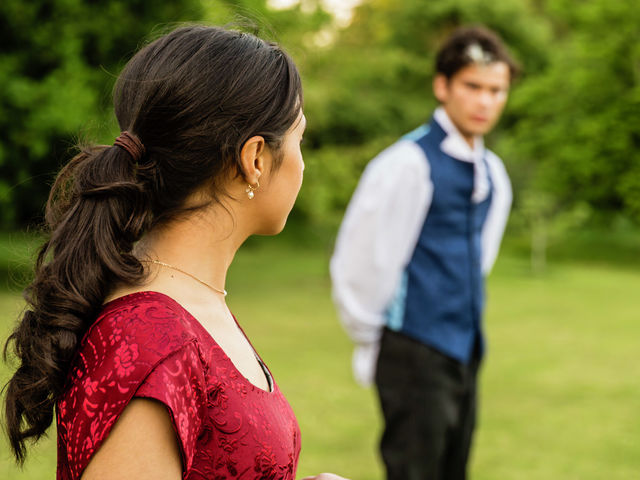 Pride and Prejudice looks to be astounding