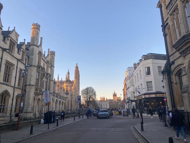 Need some downtime in May Week? We've got the watchlist for you!