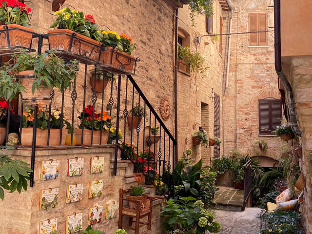 What type of summer holiday are you?