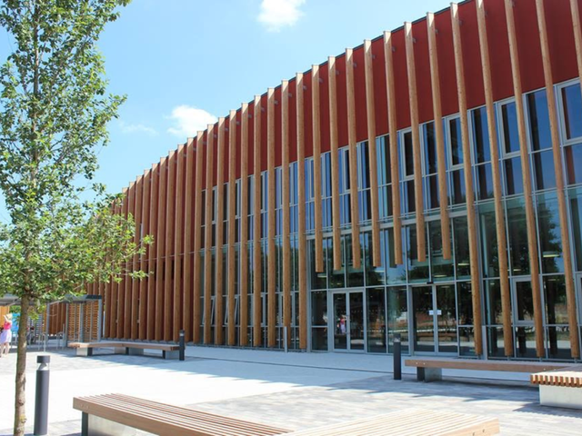 Return to your childhood sport!