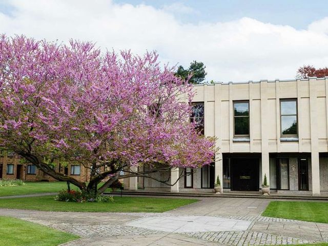 Council rejects Wolfson's planned expansion