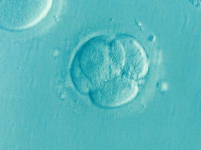 Research Roundup: Week Three