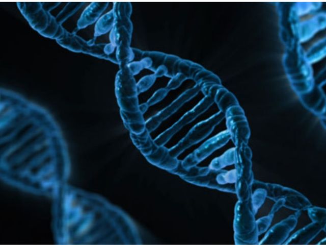 Could gene therapy rewrite the future of Huntington's?