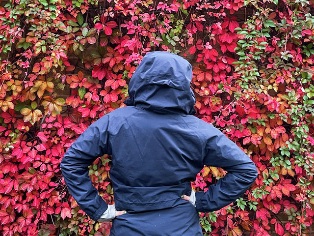 Why are we so scared of practical clothes?