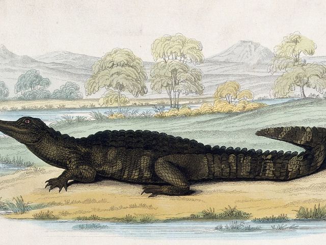 Research Roundup: Week Nine