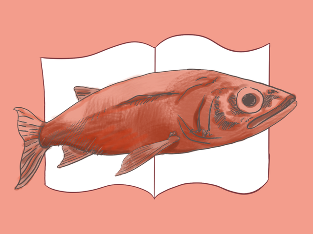 The Cambridge zine scene