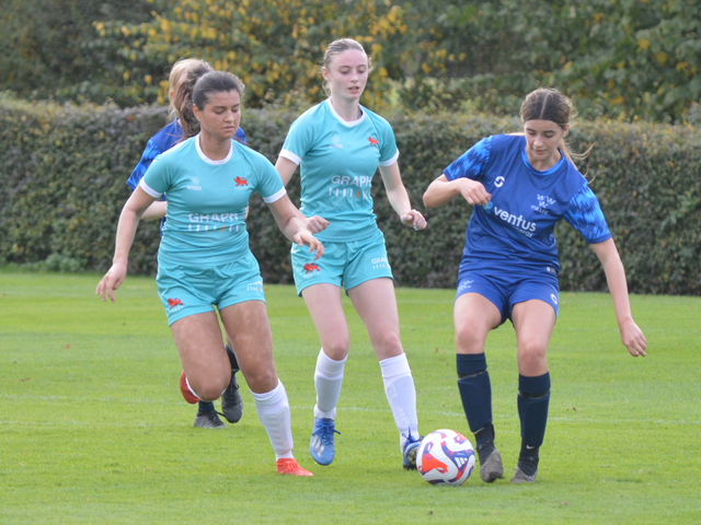 'For one type of woman': college sport amid a shifting landscape for inclusion