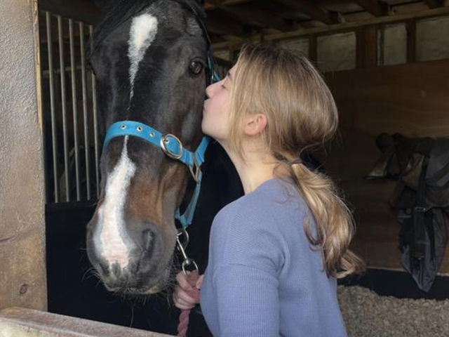 The year of the horse (girl)