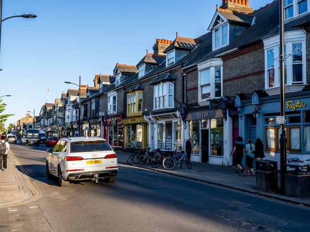 News in Brief: BBC broadcasting, bats, and brand new bus routes