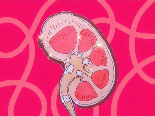 Breaking the silence about kidney disease and donation at Cambridge