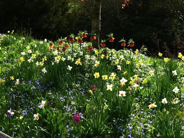 A spring in your step and songs for the new season