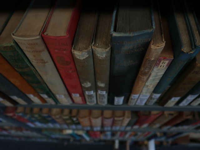 The rhi-novelty of reading