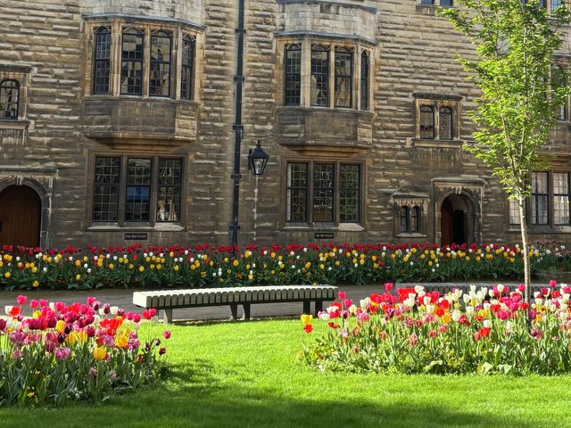 Which spring flower are you?